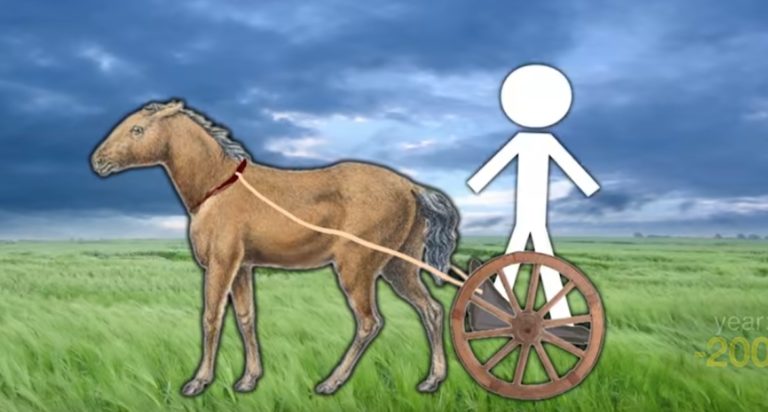 Prepare to be amazed by the entire history of the world in one hilarious, brilliant animated video