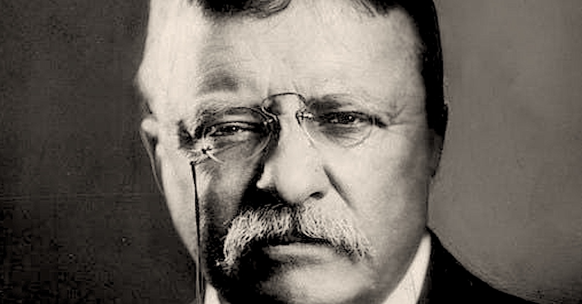 History Hustle Teddy Roosevelt Minnie Cox preview image