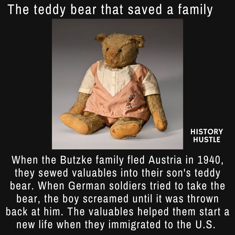 the-teddy-bear-that-saved-a-family-from-the-holocaust-history-hustle