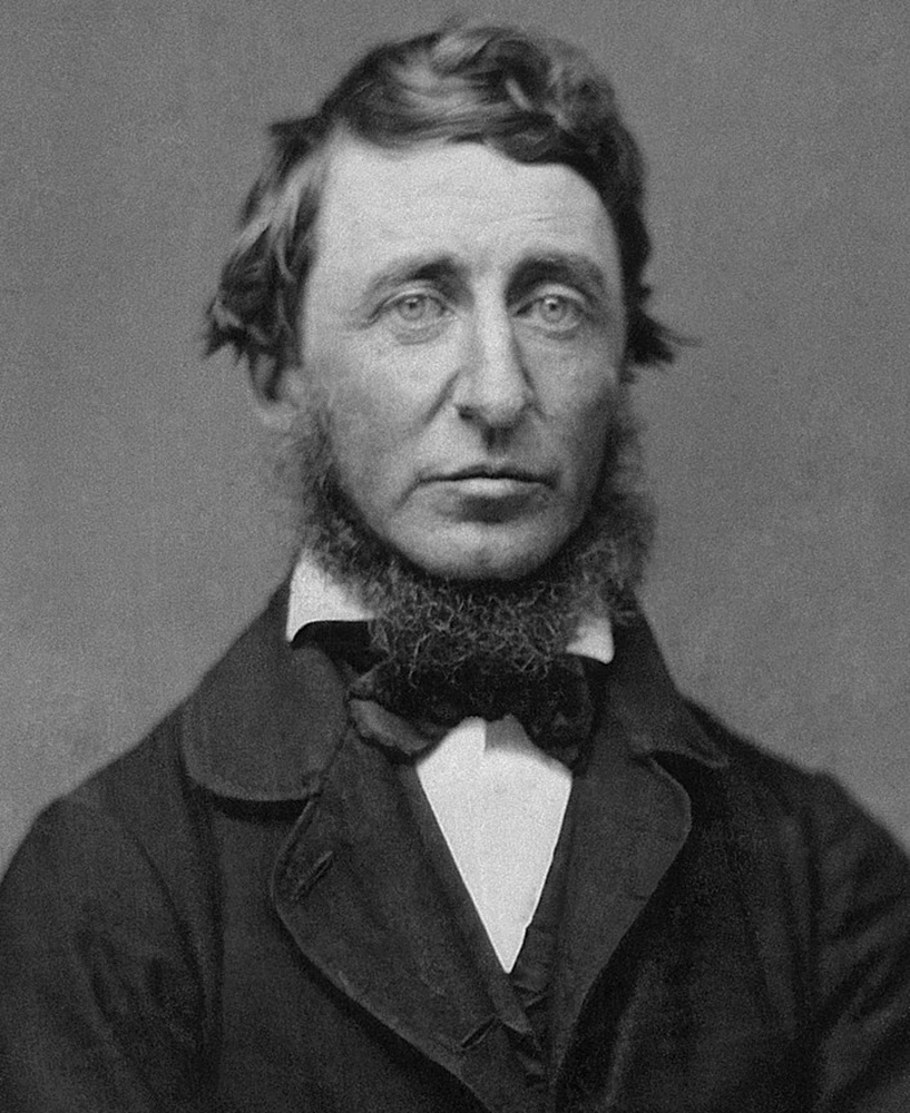 portrait of the philosopher Henry David Thoreau, 1856