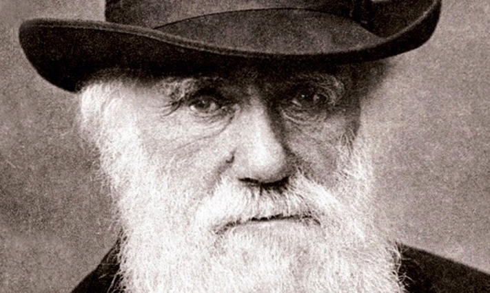 10 Hilarious Times Darwin Was Having Just the Worst Day